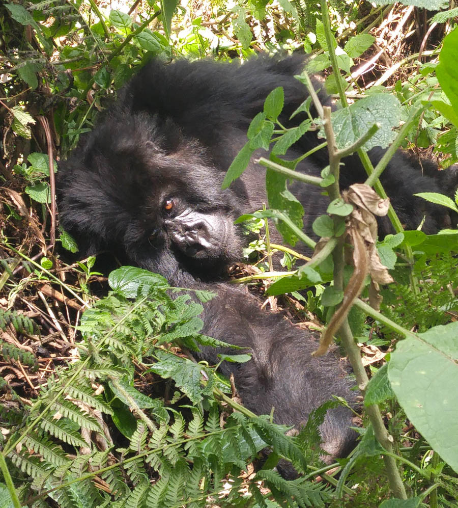 Janice visits Africa October 2016