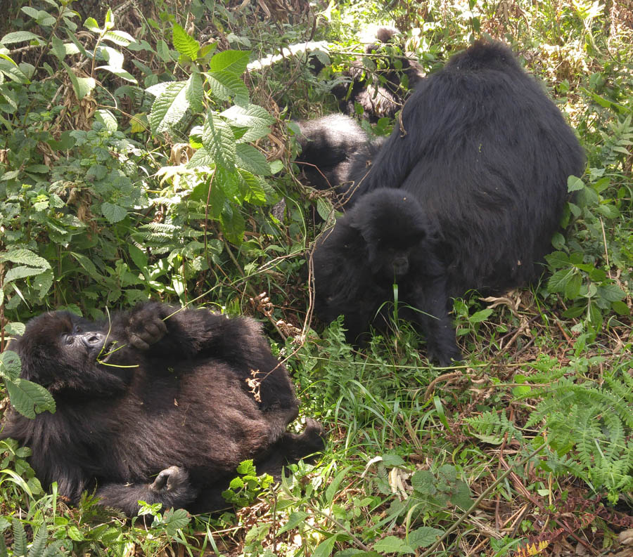 Janice visits Africa October 2016