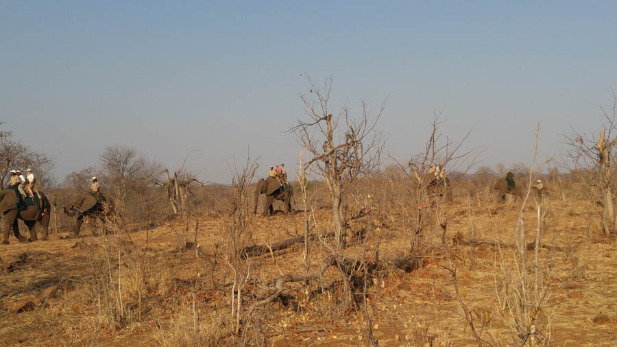 Janice visits Africa October 2016