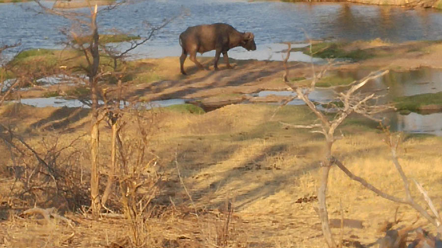 Janice visits Africa October 2016