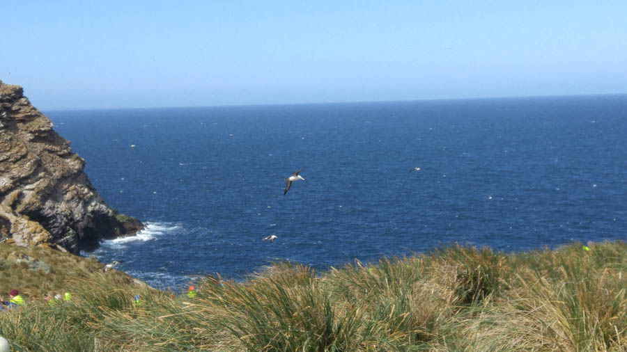 Visiting the Falkland Islands November 2016