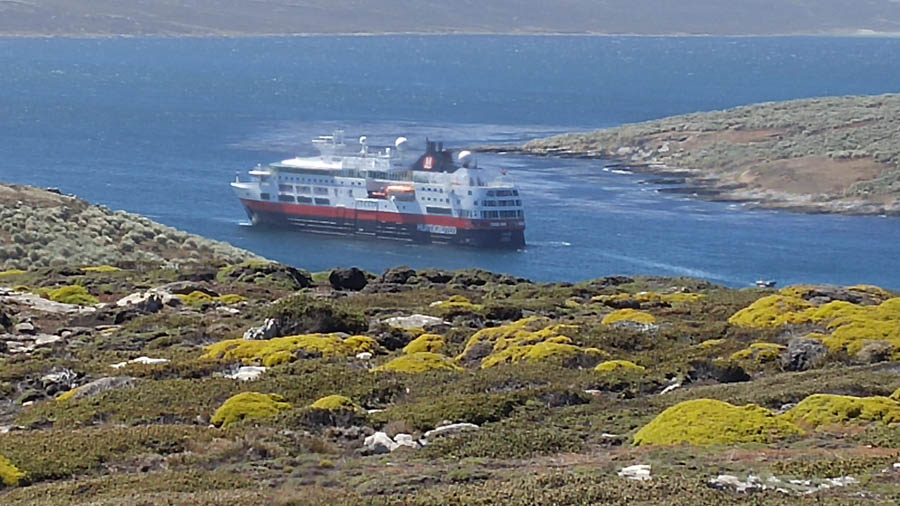 Visiting the Falkland Islands November 2016