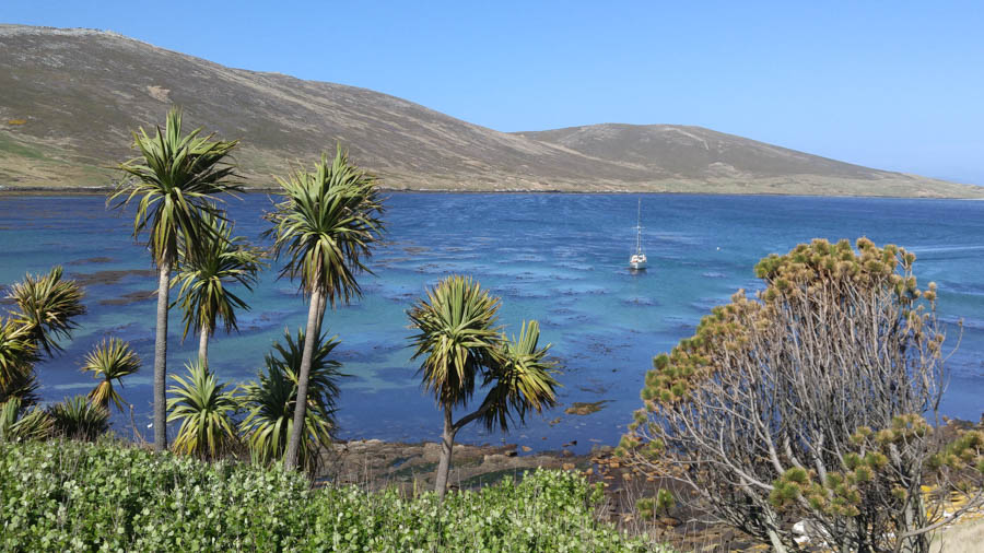 Visiting the Falkland Islands November 2016