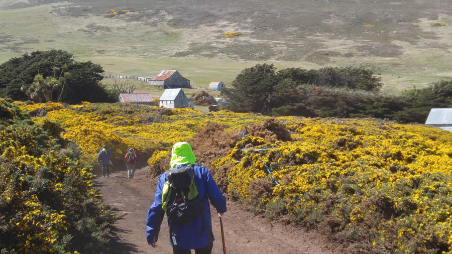 Visiting the Falkland Islands November 2016