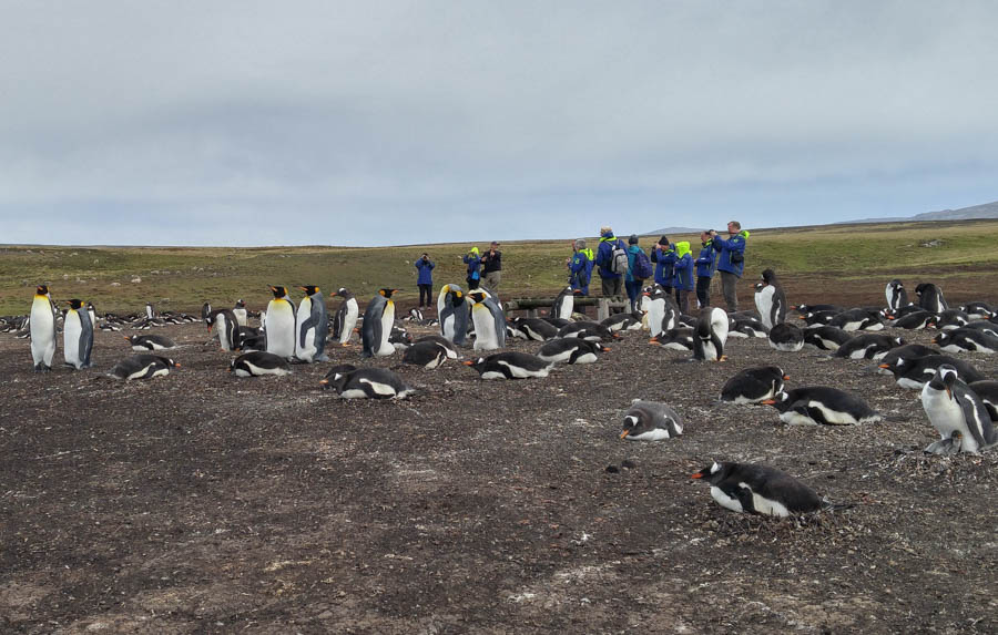Visiting the Falkland Islands 12/1/2016