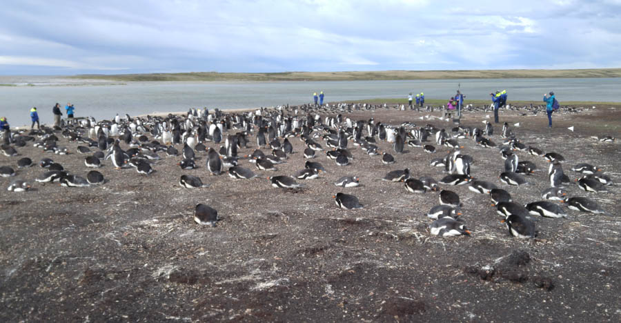 Visiting the Falkland Islands 12/1/2016