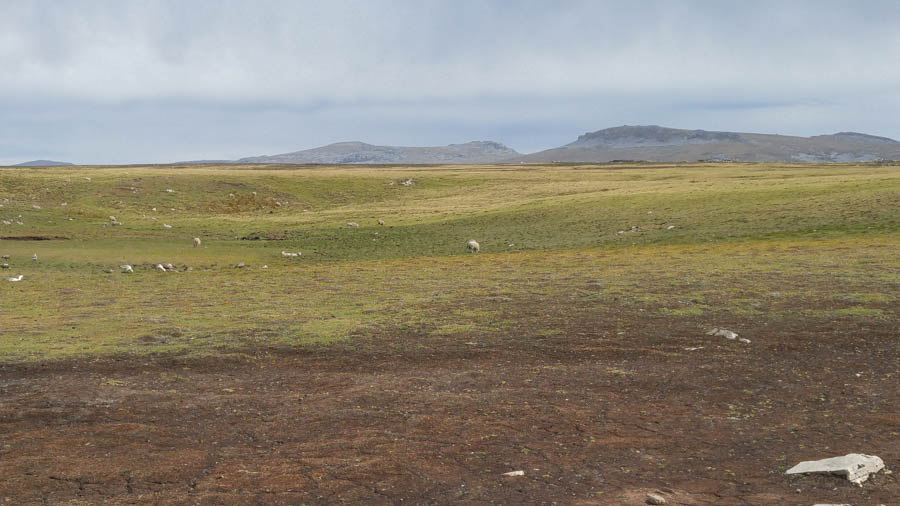 Visiting the Falkland Islands 12/1/2016