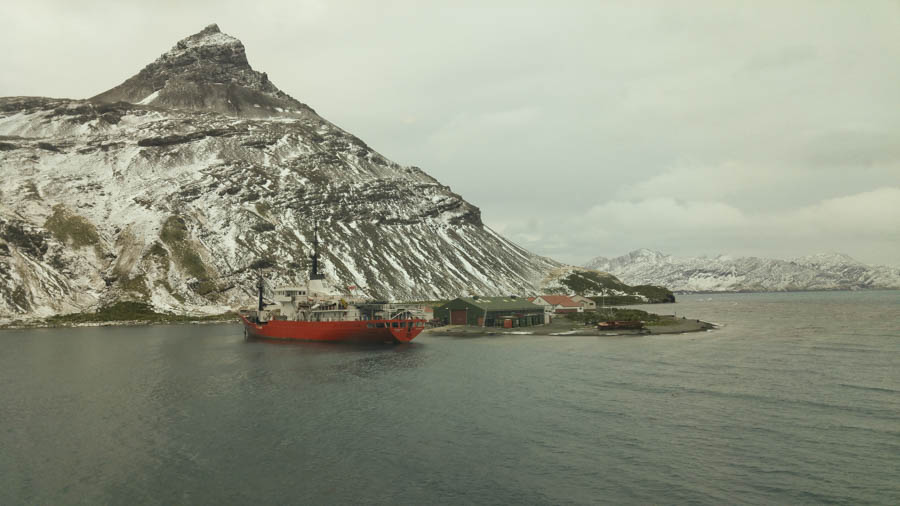 Cruising the Antarctic Sea