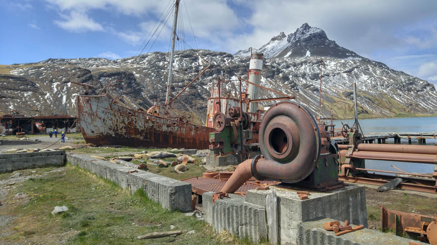 Cruising the Antarctic Sea