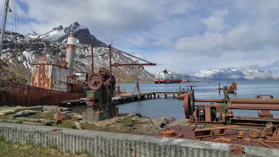 Cruising the Antarctic Sea