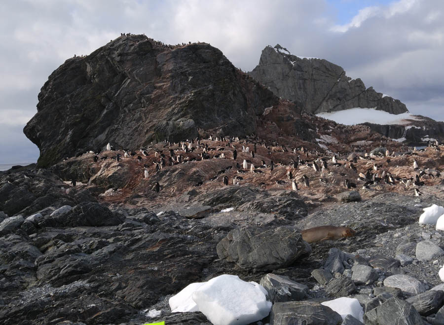 Visiting Elephant Island 12/9/2016