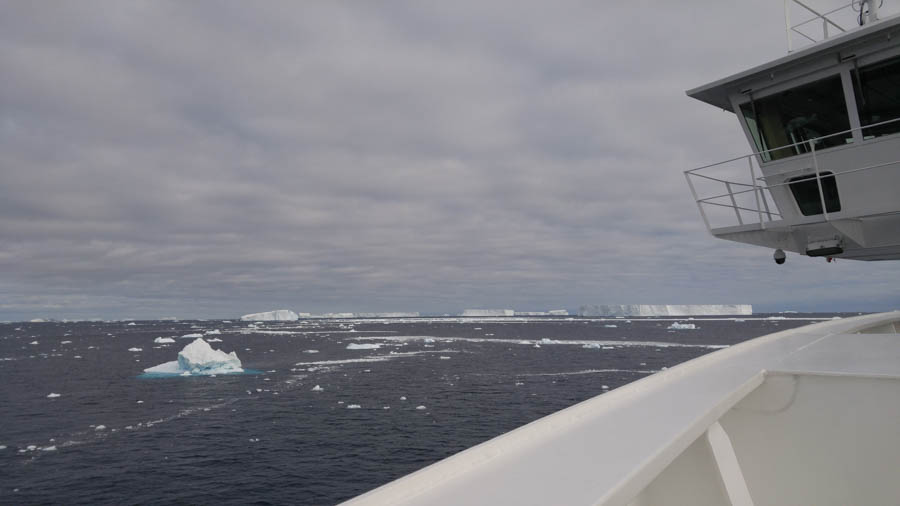 Brown Bluff Antarctica 12/10/2016