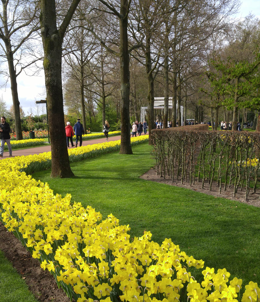 Visiting the tulips