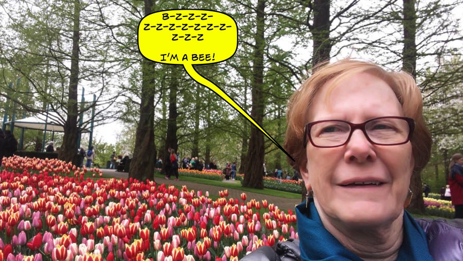 Visiting the tulips