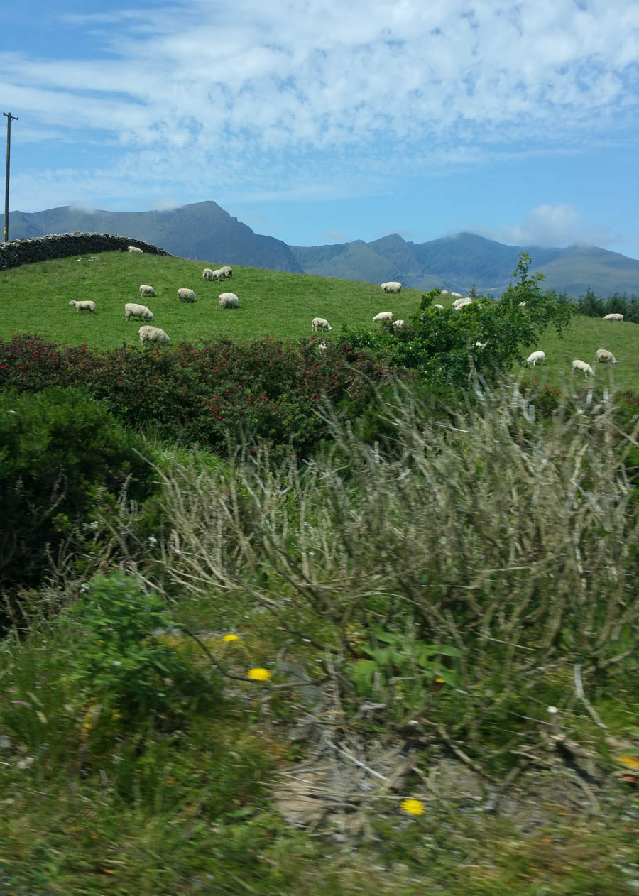 Western Ireland