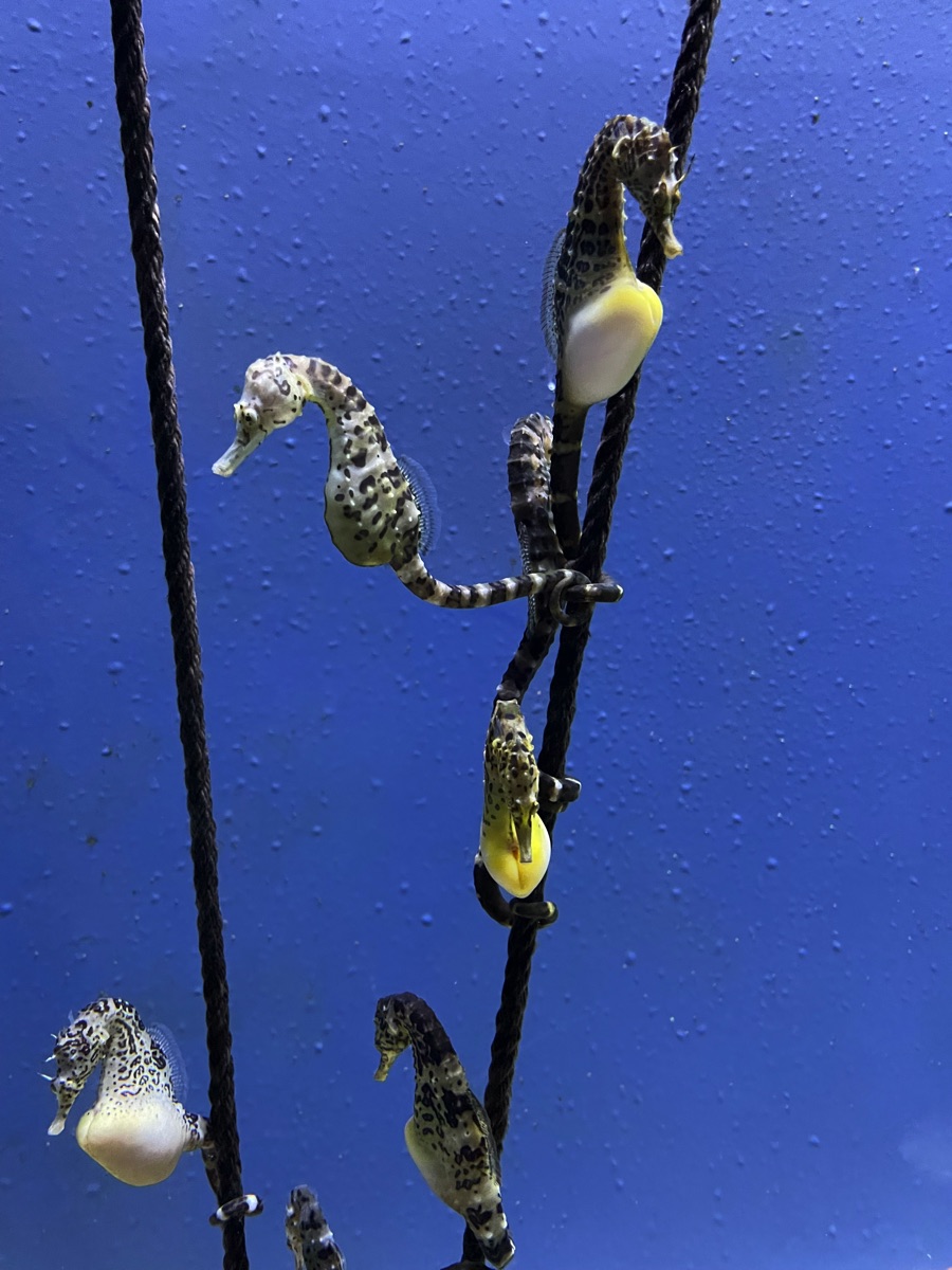 09/10/10 Bob & Donna Return to Genoa