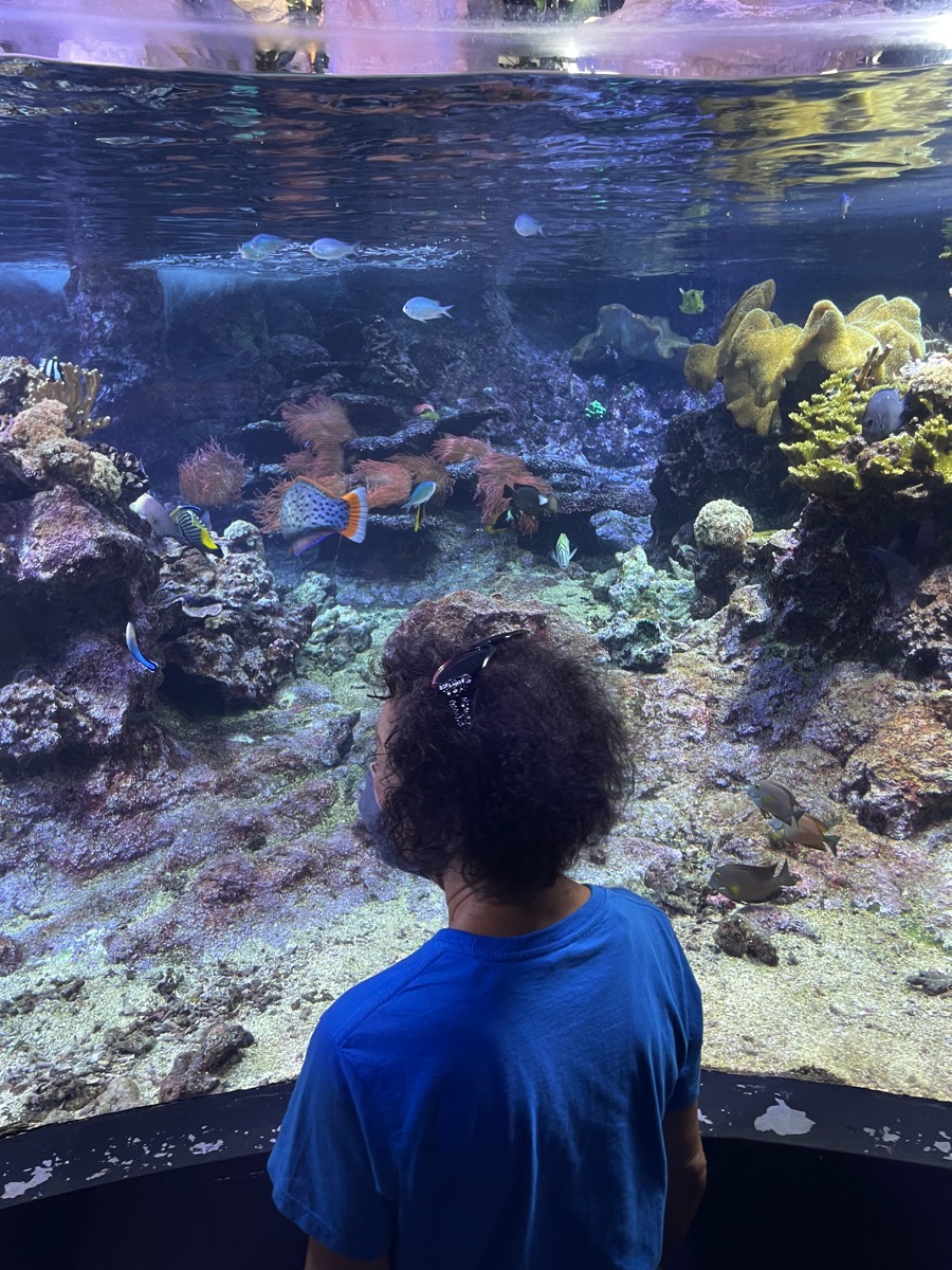 09/10/10 Bob & Donna Return to Genoa