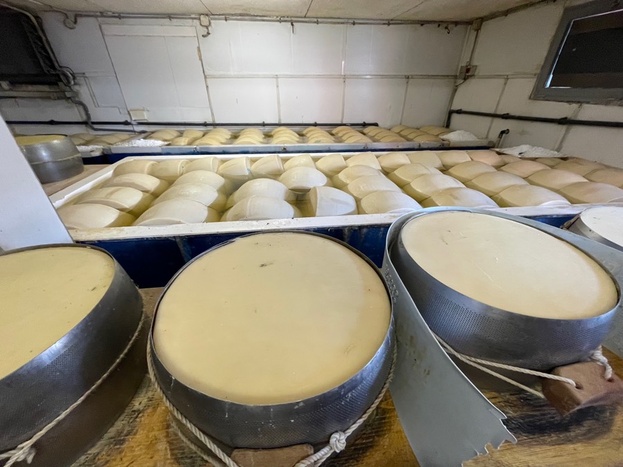 2025-09-07 Bob & Donna In Parma Italy