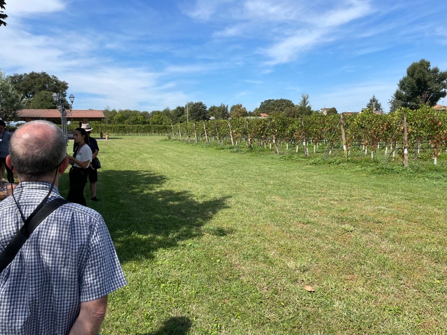 2025-09-07 Bob * Donna In Parma Area of Italy