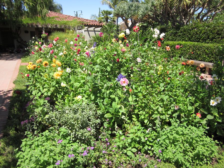 Sherman Gardens with Bunnaford August 2011