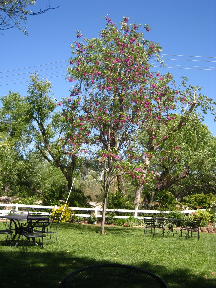 Visiting Temecula with friends