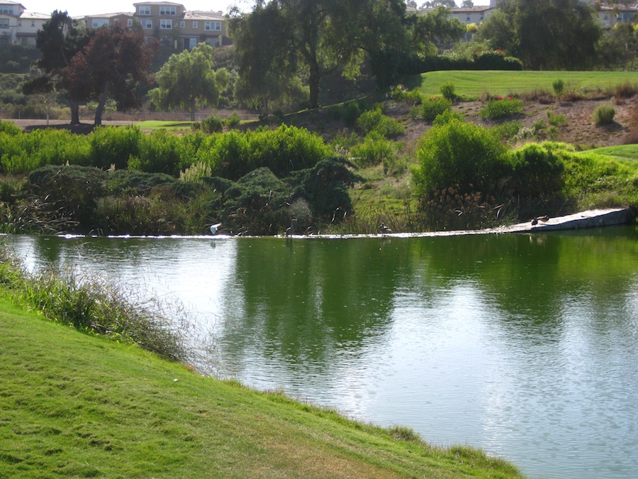 Golf at La Costa with friends 9/25/2013