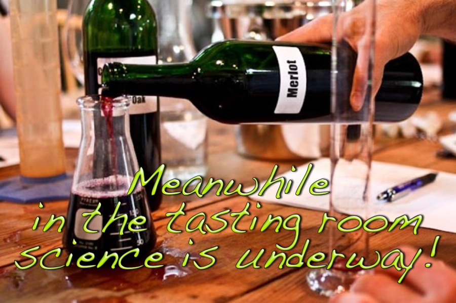 September wine blending at Laguna Canyon Winery