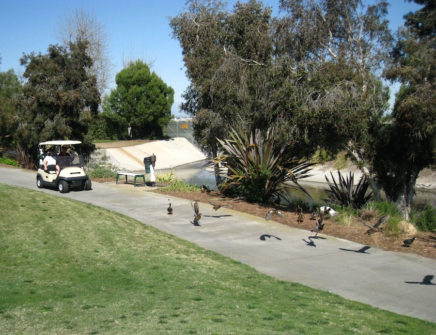 Golf With Holly and Bill Henke