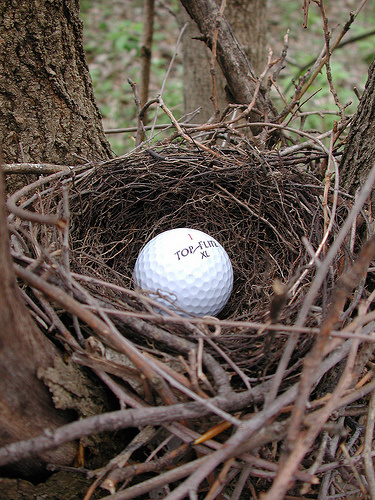 Golf With Holly and Bill Henke