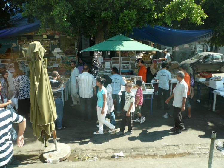 Zaitz Vacaton: Tunisia