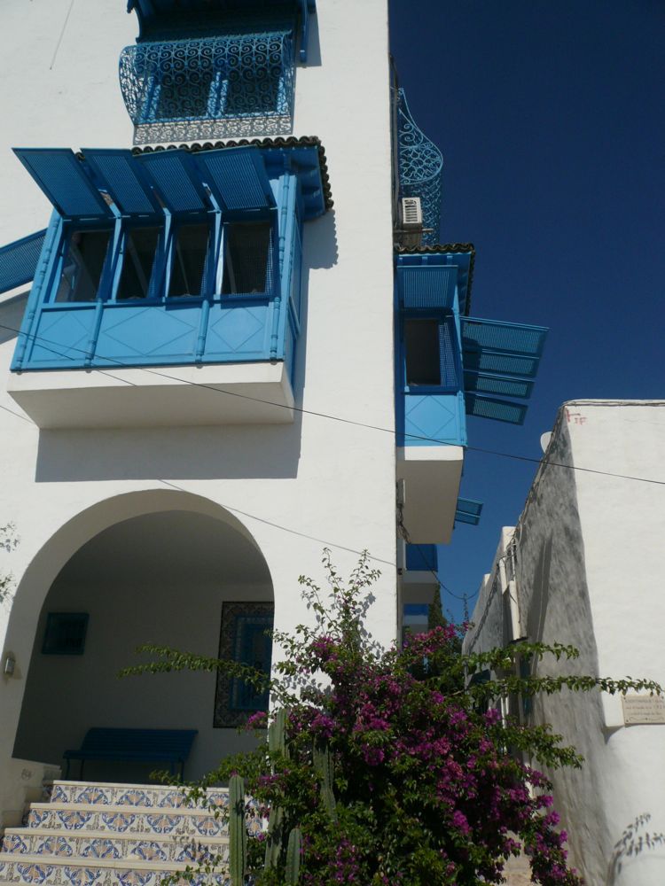 Zaitz Vacaton: Tunisia