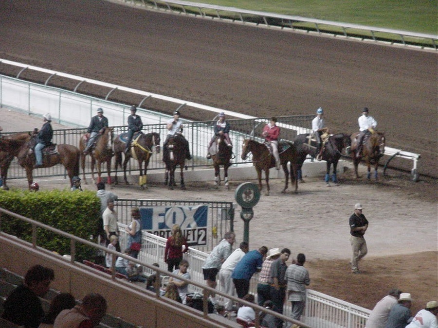 Horse Racing With Laurie