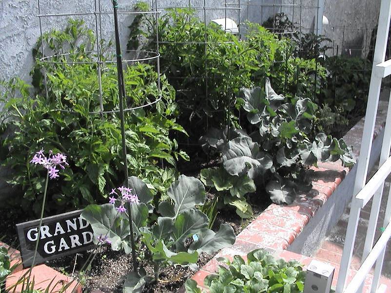 Inside front yard; Grandma's garden