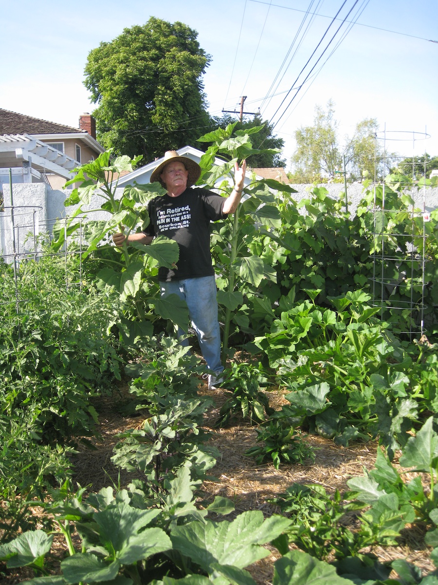 Our vegetable garden on May-June 2014