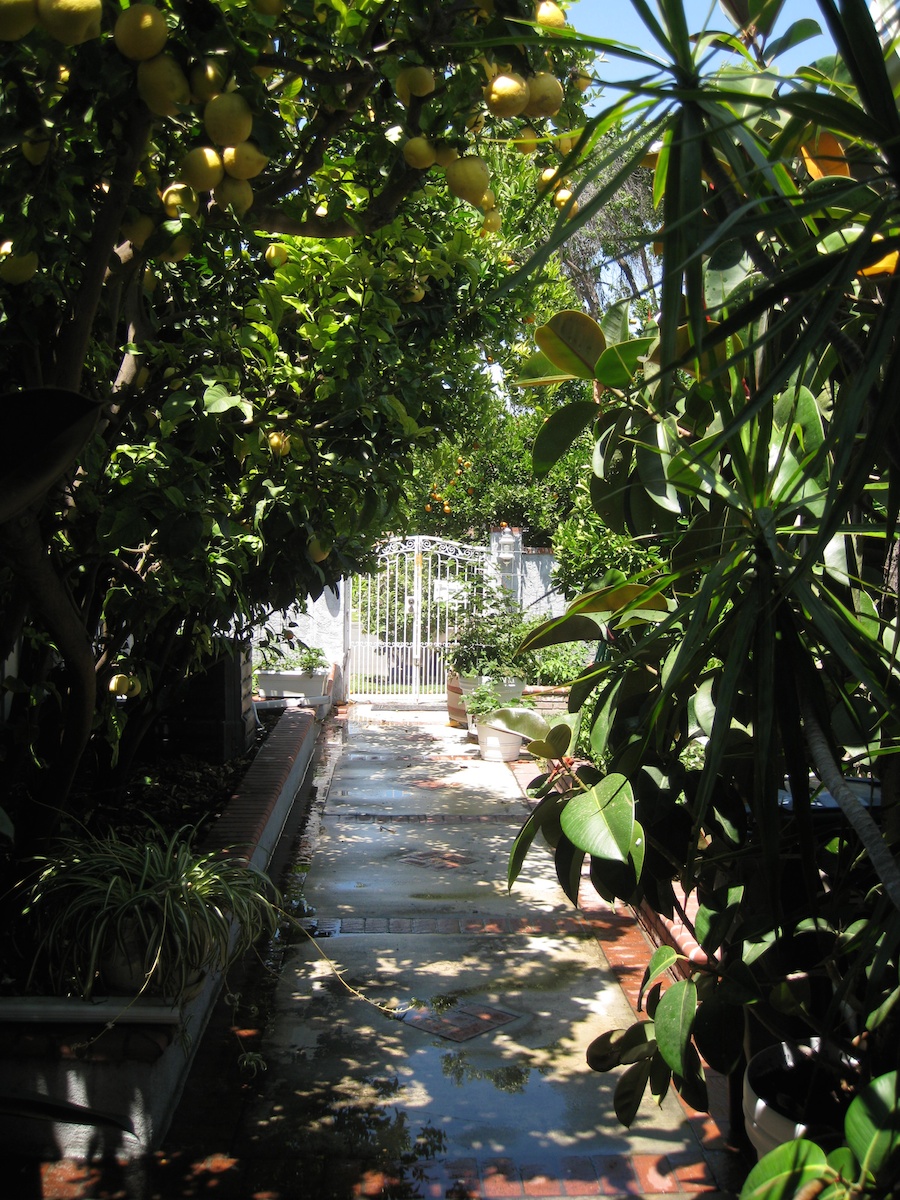 Our vegetable garden on May-June 2014