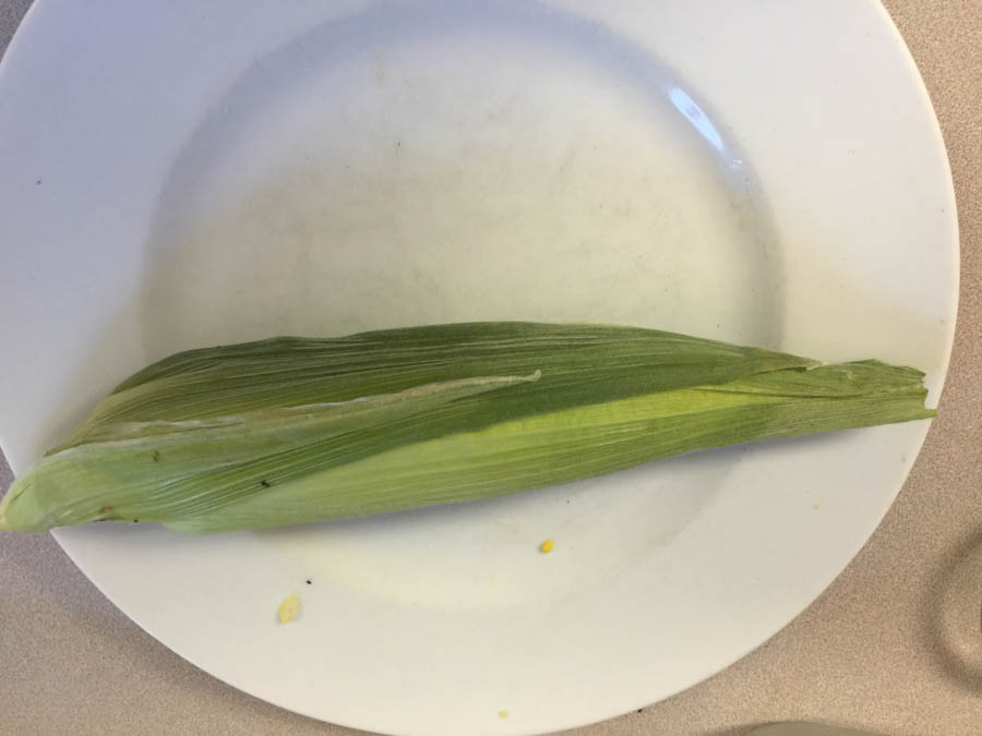 Corn on the cobb from our garden July 7th 2015