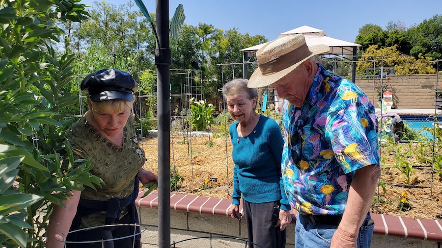 Jan visits the garden!