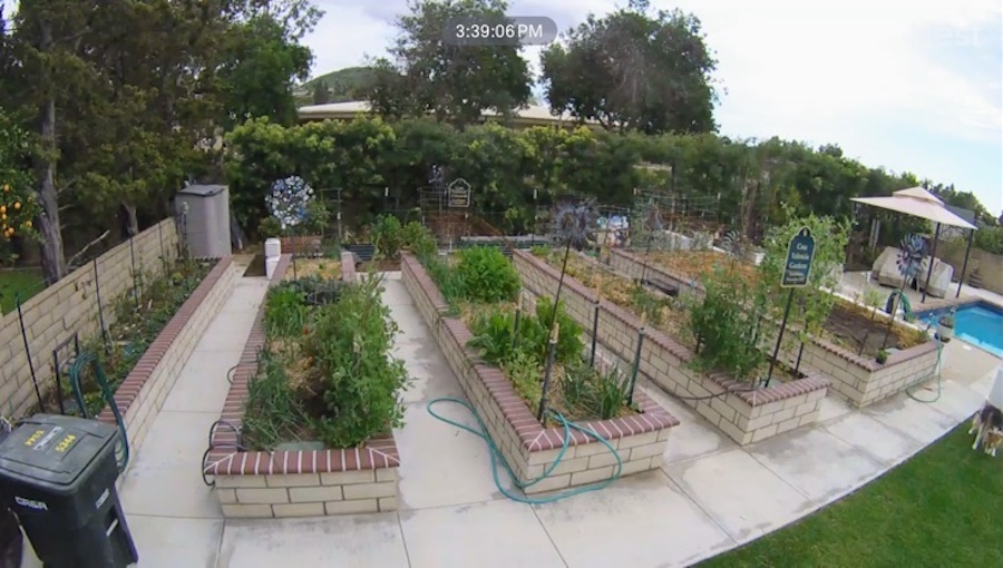 2004 garden month by month