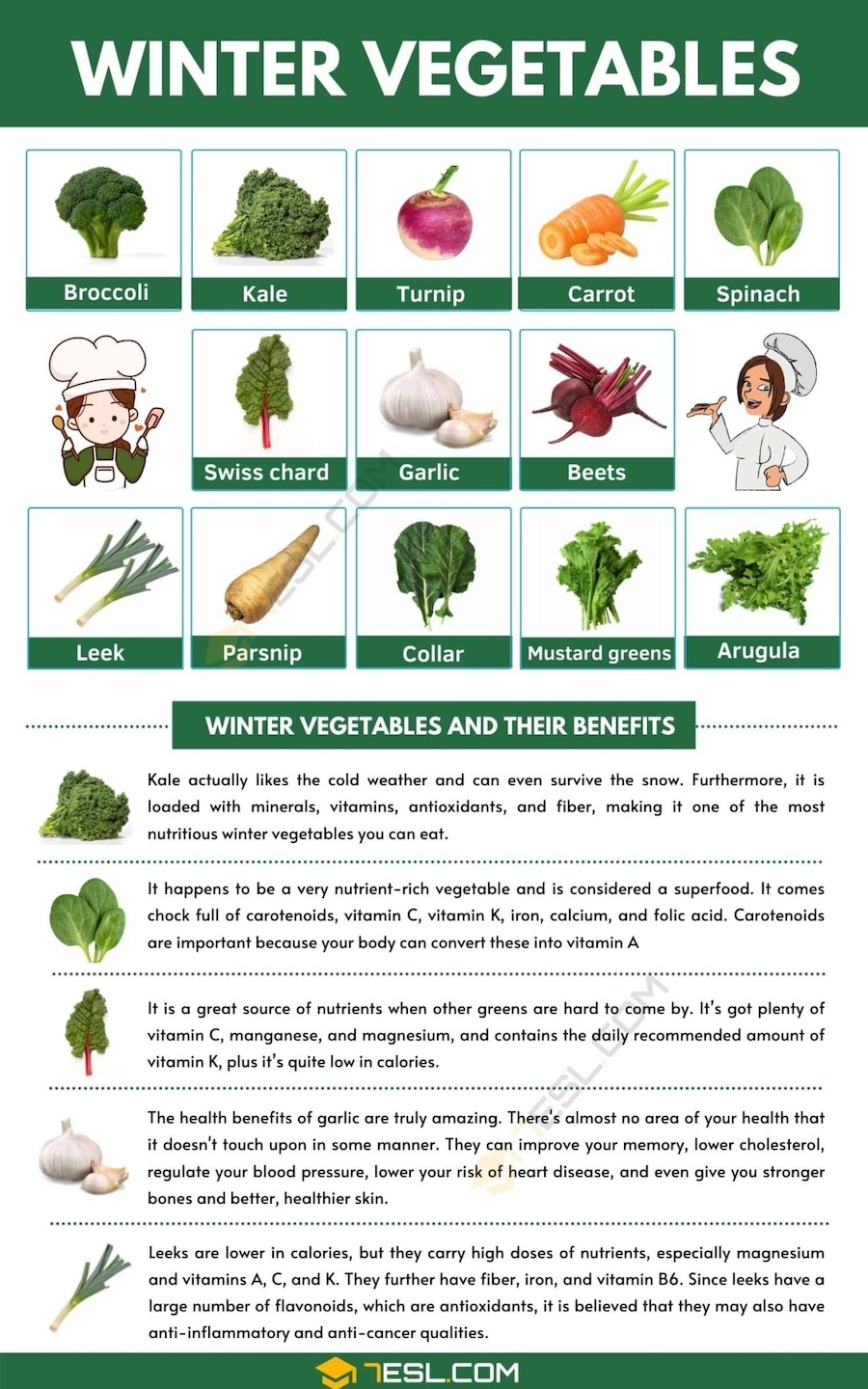 Our 2024 Vegetable Garden