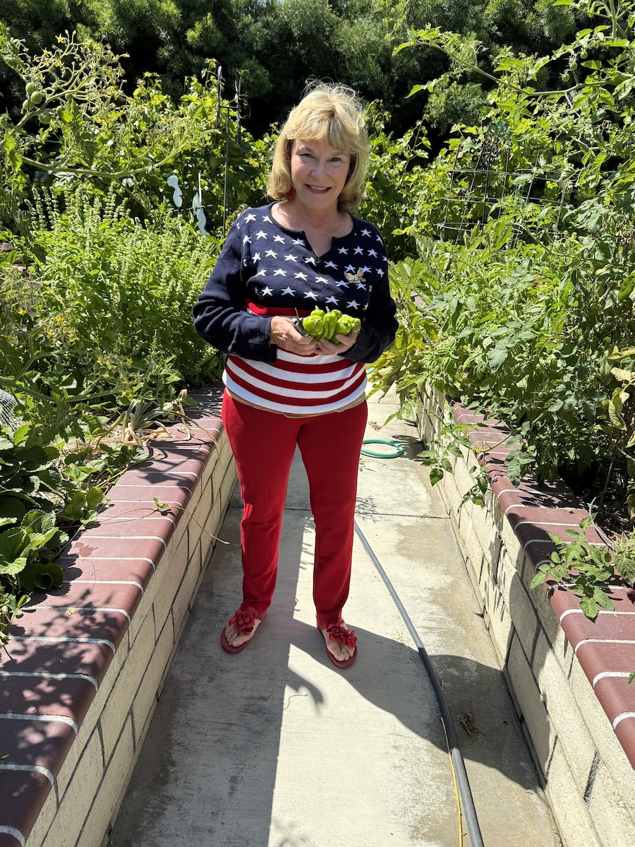 2025 Summer Garden Highlights