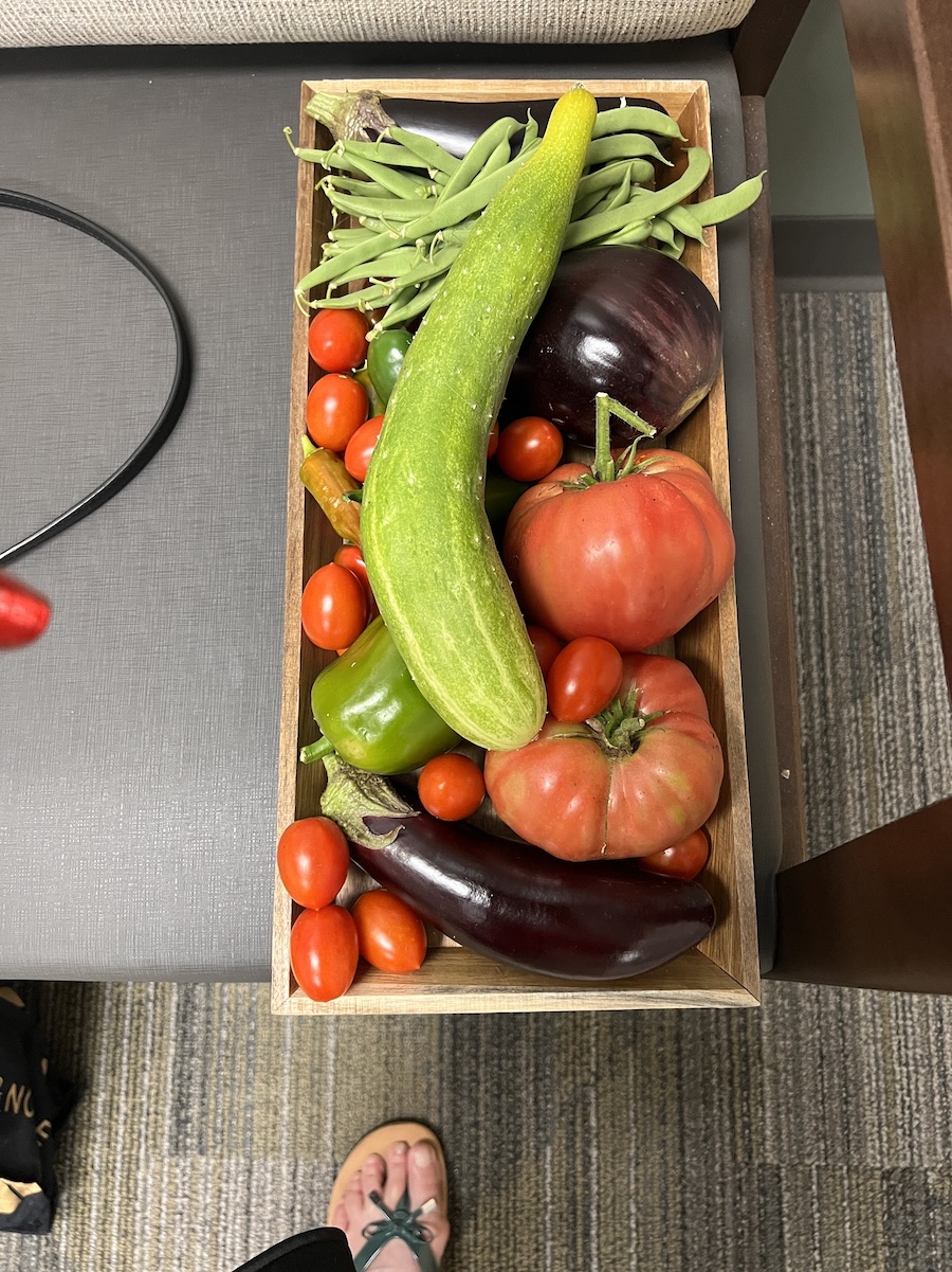 2025 Summer Garden Highlights