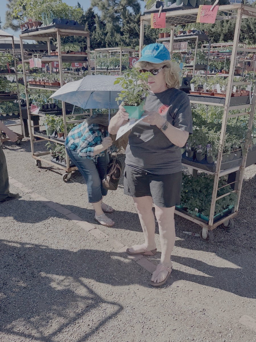 2026 Garden By Month