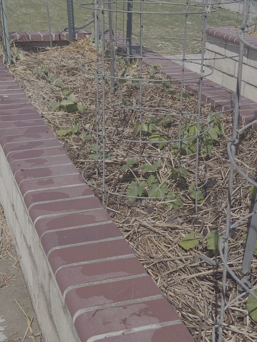 2026 Garden By Month