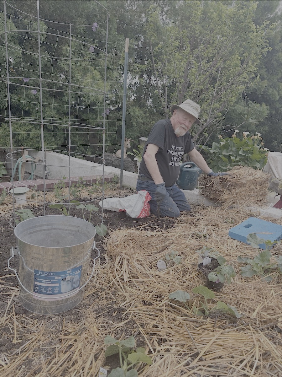 2026 Garden By Month