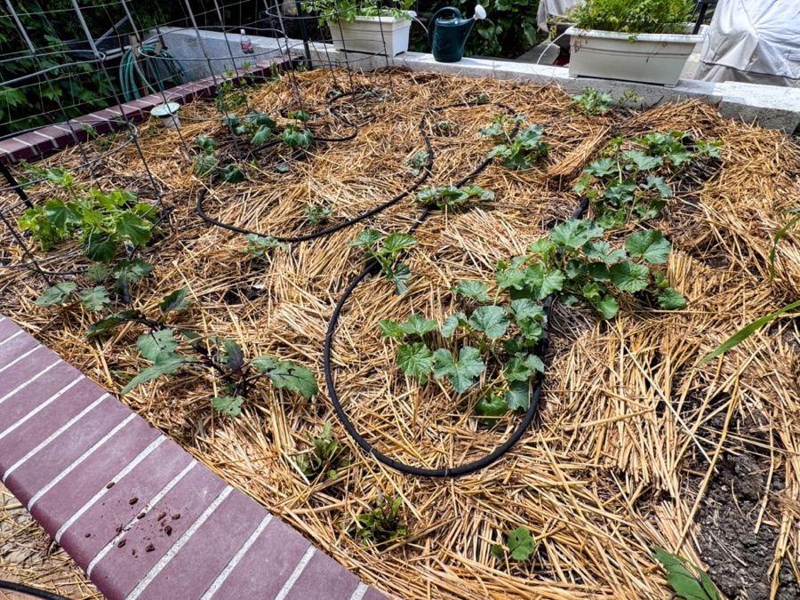 2026 Garden By Month