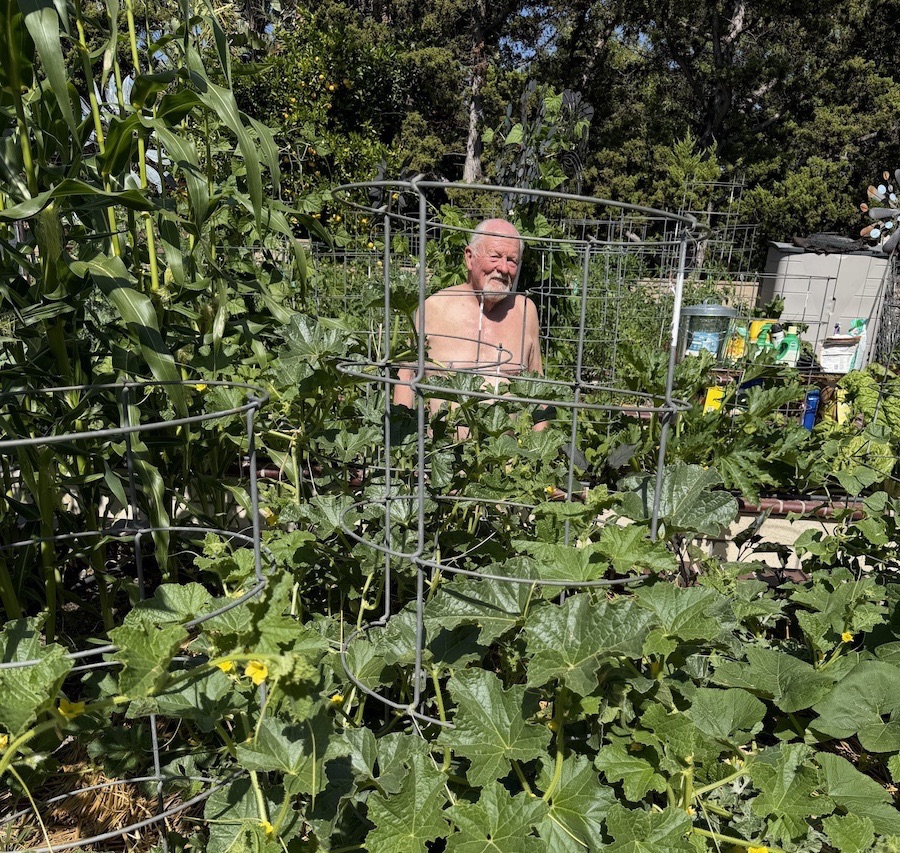 2026 Garden By Month