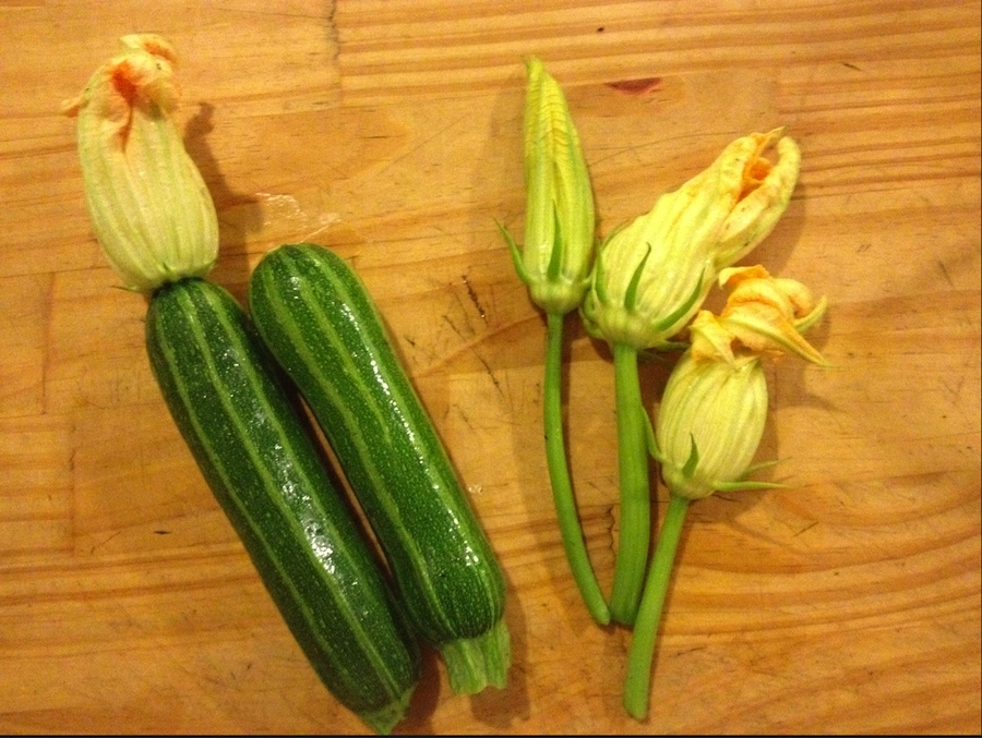 Making squash blossoms