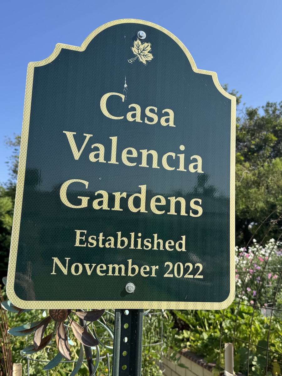 Mary and Paul's vegetable garden May 2025
