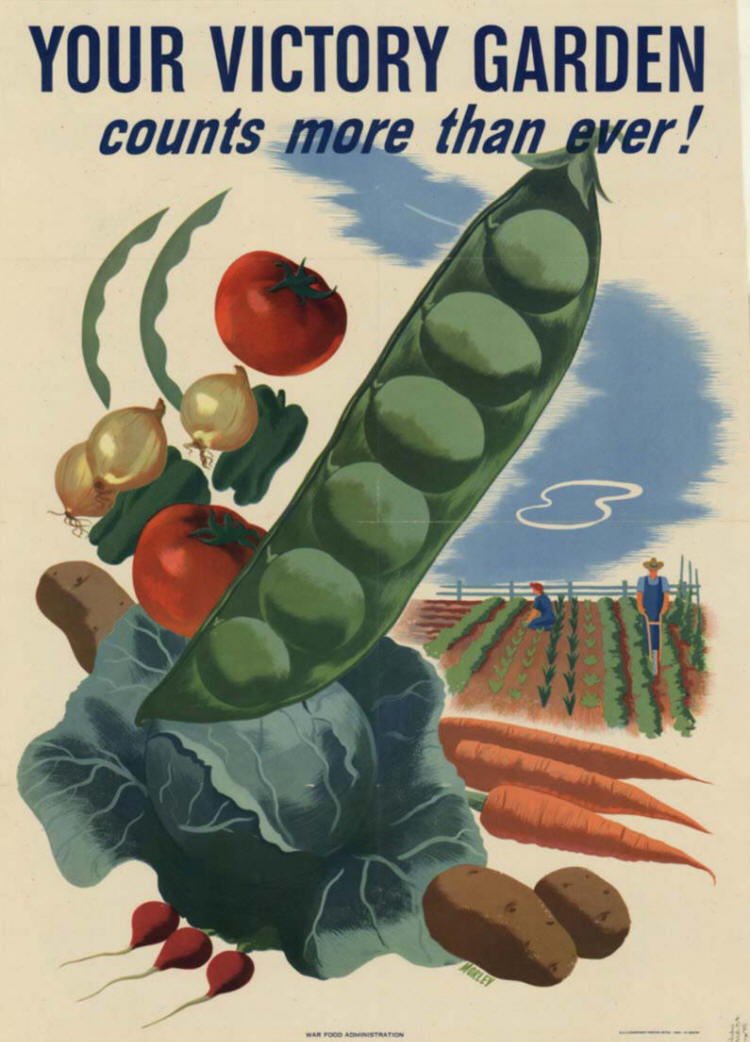 Victory Garden