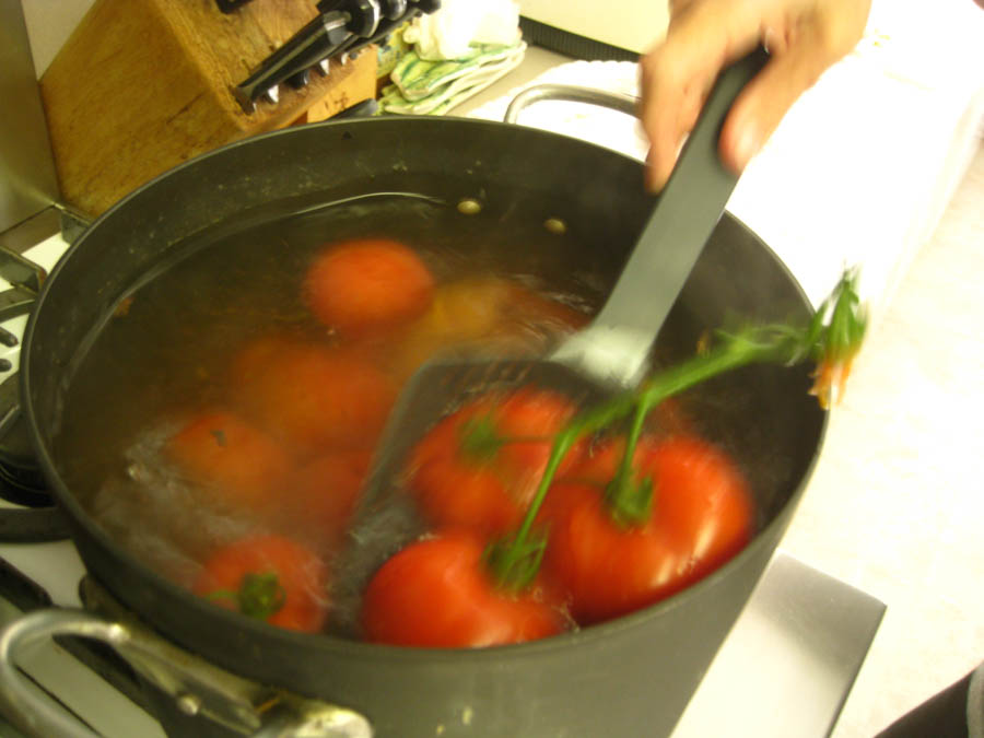 Making Tomato Sauce